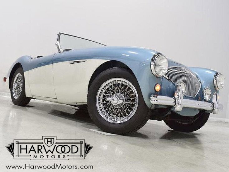 Thumbnail Photo undefined for 1955 Austin-Healey 100